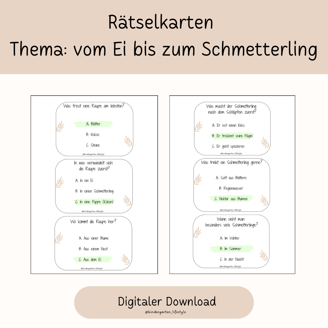 Rätselkarten Thema: vom Ei bis zum Schmetterling