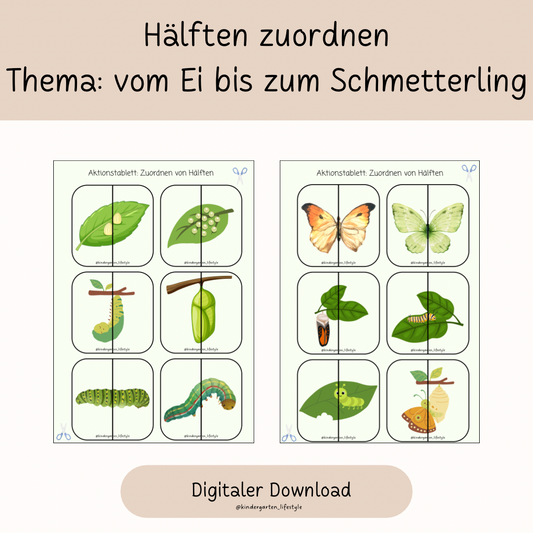 Hälften zuordnen Thema: vom Ei bis zum Schmetterling