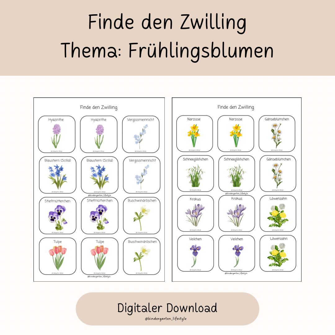 Finde den Zwilling Thema: Frühlingsblumen