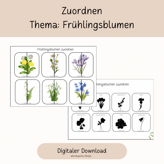 Zuorden Thema: Frühlingsblumen