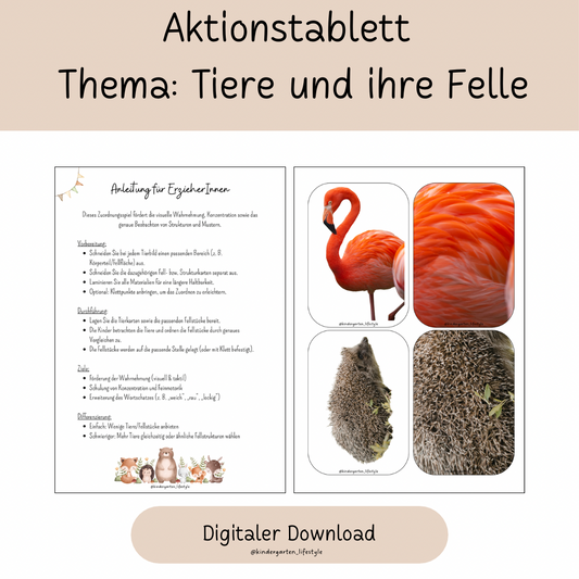 Aktionstablett 
Thema: Tiere und ihre Felle
