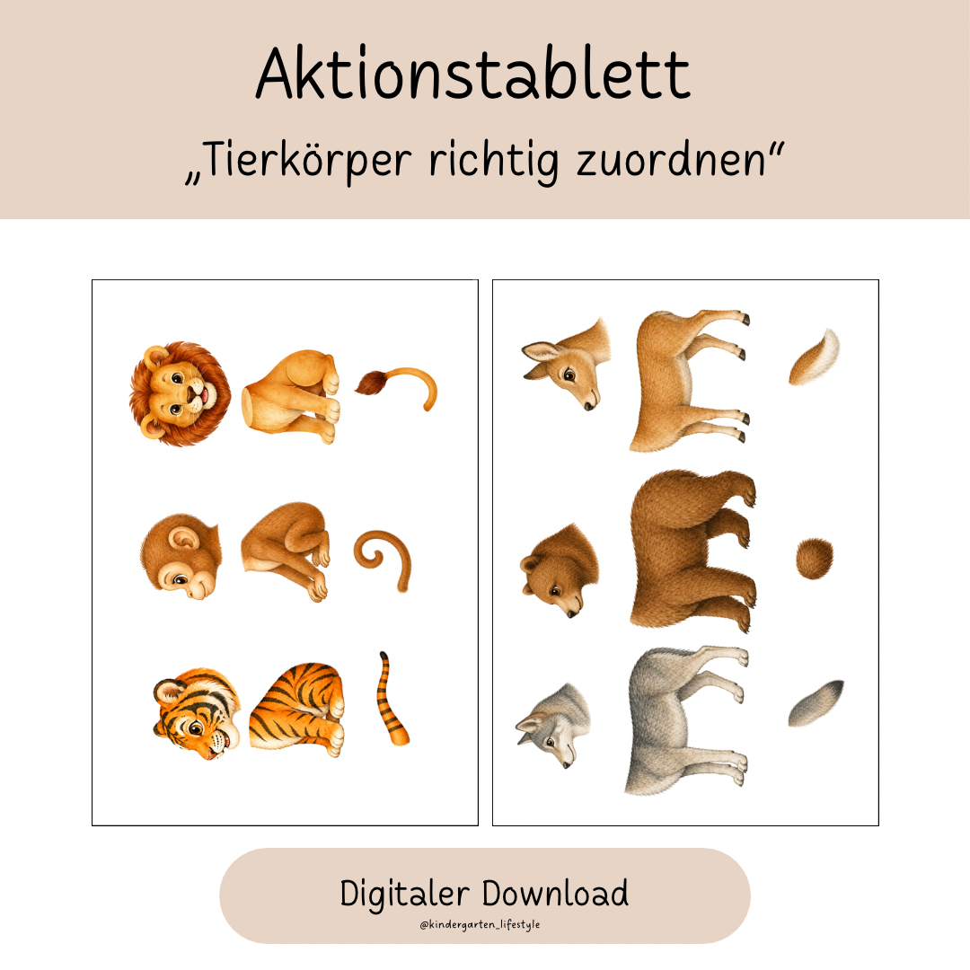 Aktionstablett  „Tierkörper richtig zuordnen“