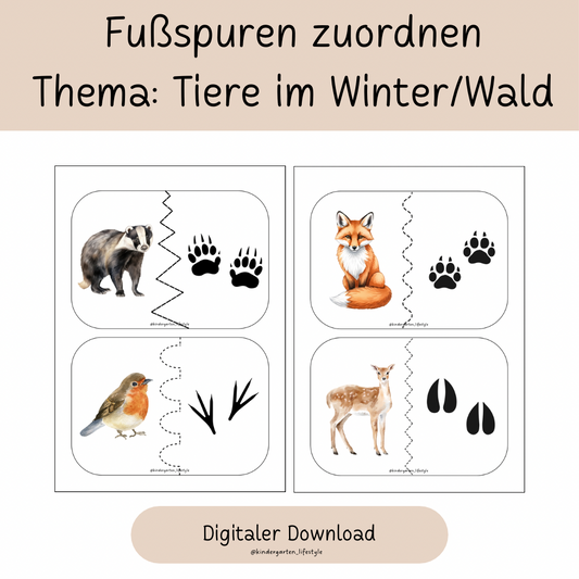 Fußspuren zuordnen Thema: Tiere im Winter/Wald